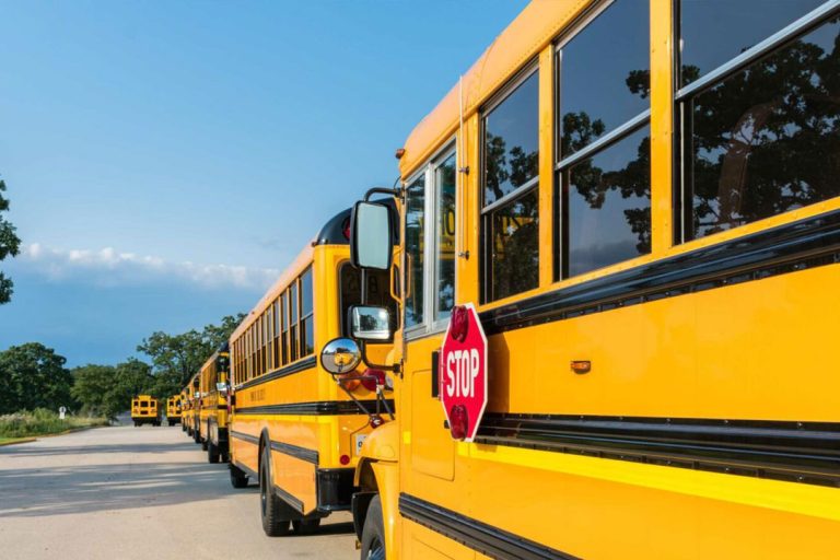 Long line of school buses.